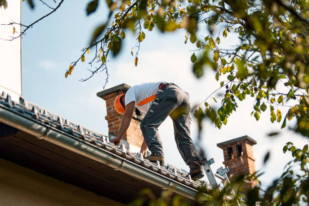 Best Emergency Roof Repair  in Troy, AL