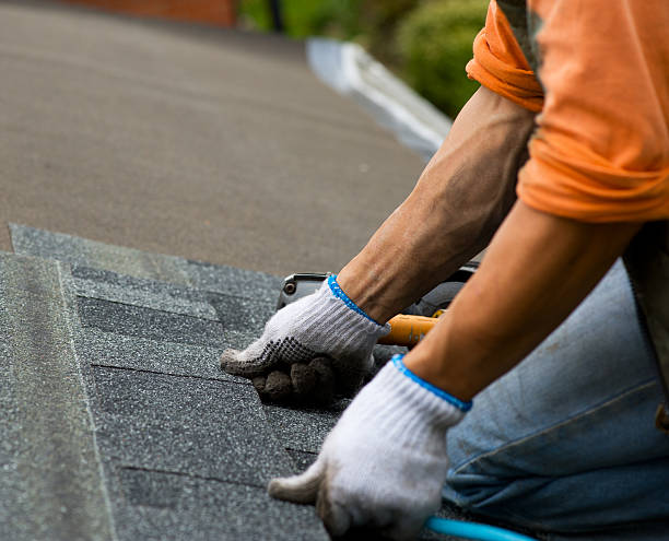 Roof Gutter Cleaning in Troy, AL