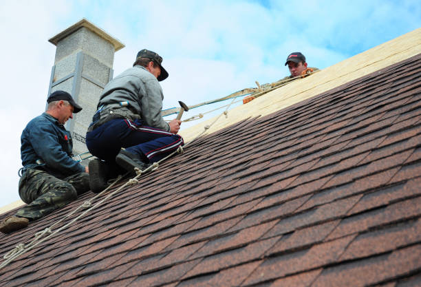 Best Roof Gutter Cleaning  in Troy, AL